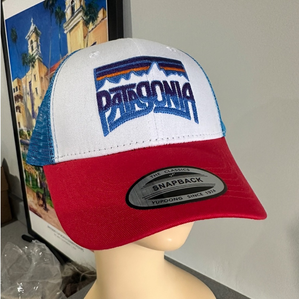Patagonia hat baseball trucker hat new
